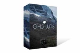 Lumix GH5 LUTs | Neumann Films