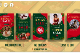Christmas Sale Stories V1 48441036