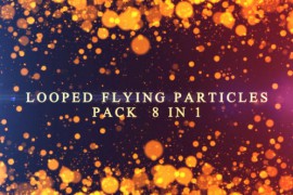 Gold Particles Pack 8 in 1 19040614