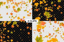 Maple Autumn Leaf Falling Pack Loop 46642858