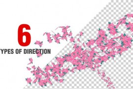 Flowers Spiral Pack V8 51387063