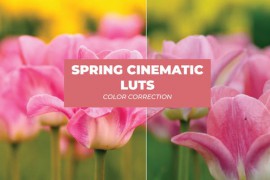 LUTs Spring Cinematic 43400213