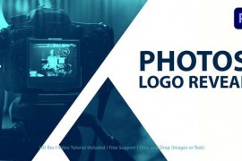 Logo Reveal 42368467