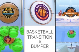 Basketball Logo Transition & Bumper 47887152
