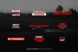 Dynamic Motion Text | AE 52301512