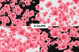 Flower Transition 46830778