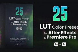 25 LUTs pack for After Effects and Premiere Pro 42782626
