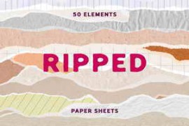 Free Download:CreativeMarket – Assorted Ripped Paper Elements 291896882