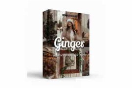 3dMotional – 30 Ginger Lightroom and Lut Bundle