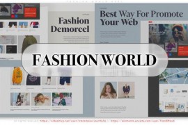 Fashion World Reel 51935267