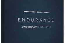 Lens Distortions Endurance MP3 WAV