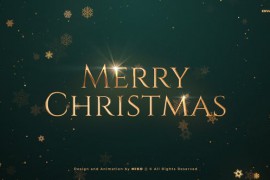 Christmas Wishes 49554999