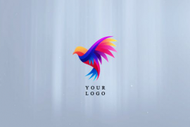 Smoke Logo Reveal 49961696