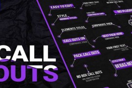 Call Outs Pack Mogrt 50133131