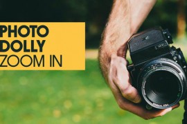 Photo Dolly Zoom In | Premiere Pro 45802673