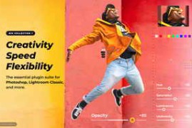 Nik Collection by DxO 7.0.401 Win x64 Multilingual
