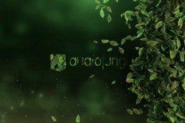 Elegant Leaves Logo Reveal V3 46612887