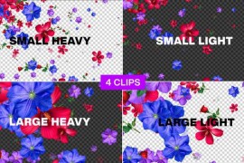Flowers Falling Pack Seamless Loop Alpha 46172894