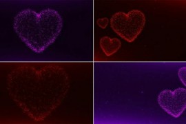 Valentine's Day Background Pack 50375551