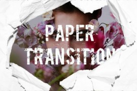 Paper Transition 49463502