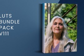 LUTs Bundle Pack V111 | DaVinci Resolve 50607485