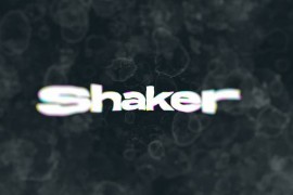 Shaker Typography 47547574