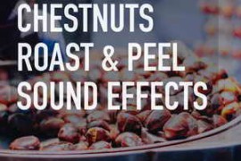 LofiAndy Sounds Chestnuts Roast And Peel Sound Effects WAV-FANTASTiC