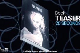 Book Teaser I 20 Seconds 45457585
