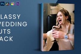 Classy Wedding Luts Pack 45672157