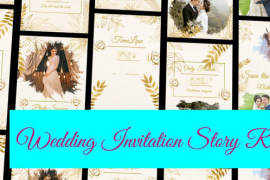 Wedding Invitation Instagram and TikTok Reel 47173850