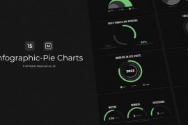 Infographic - Pie Charts / AE 48802412