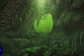 Eco Nature Green Jungle Logo Reveal 48918139