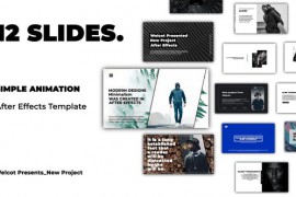 Typography Slides | After Effects 44512240