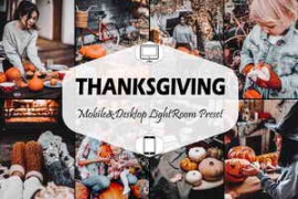 Free Download:12 Thanksgiving Lightroom Presets