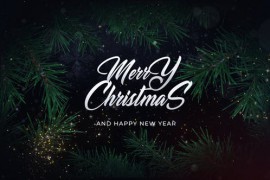Christmas Wishes for Premiere Pro 42285977