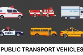 Public Transport Vehicles 51458430