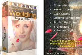 Wedding Overlays Pack 21713069