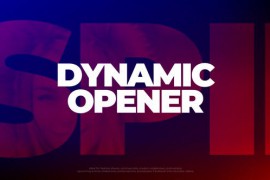 Dynamic Opener 29913671