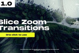Slice Zoom Transitions 48660870