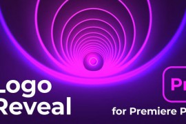 Logo Reveal 43990661
