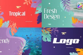Tropical Promo Slideshow | FCPX 32980758