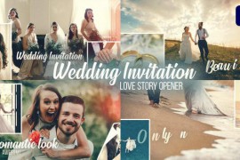 Wedding Invitation - Slideshow Opener 45236975