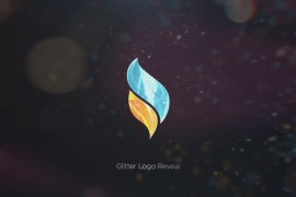 Glitter Logo Reveal | After Effects 47962851