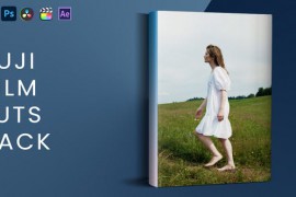 Fuji Film Luts Pack 44155689