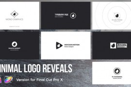 Minimal Logo Reveals | FCPX 45078919