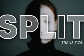 Split Transitions 46970624