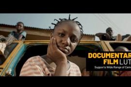 Documentary Film Color LUTs 48504851