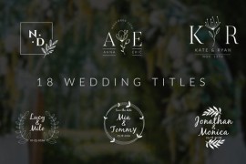 Wedding Titles 45462916
