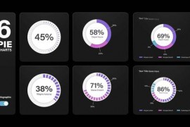 Infographic Pie Chart Animations 50143275