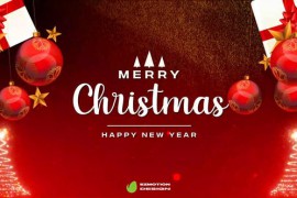 Merry Christmas 48998464
